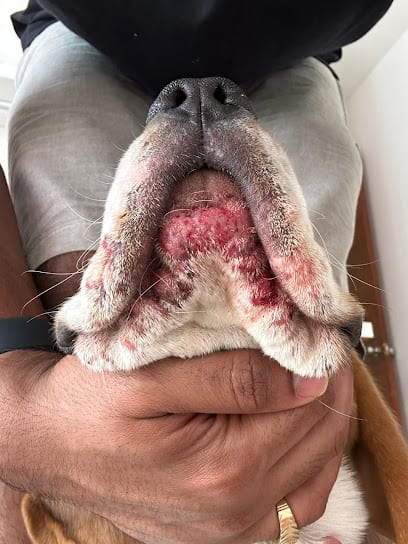 The Pet Specialist