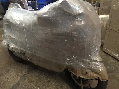 Tempo Car Bike transport